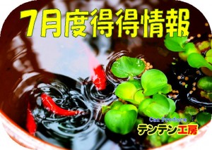 Ｈ28年７月得得情報①