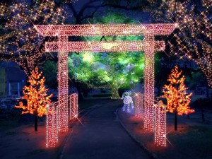 ドリミネーション