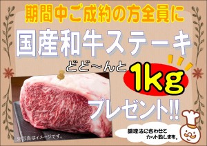 売出用【成約特典-肉-】